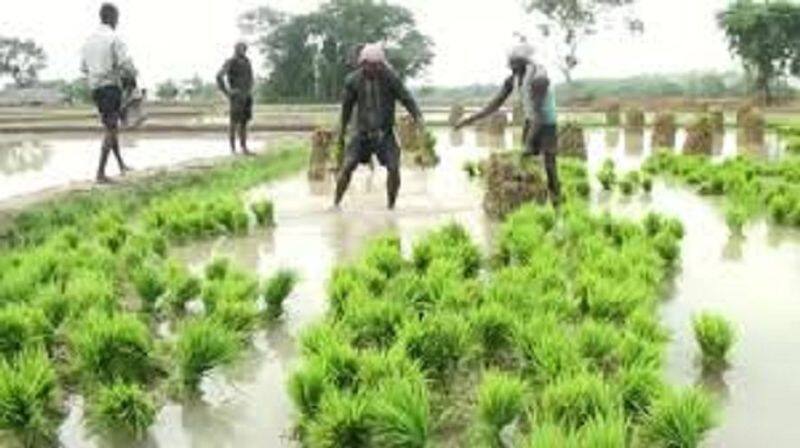 Farmers Angry over Officers in Channapatna