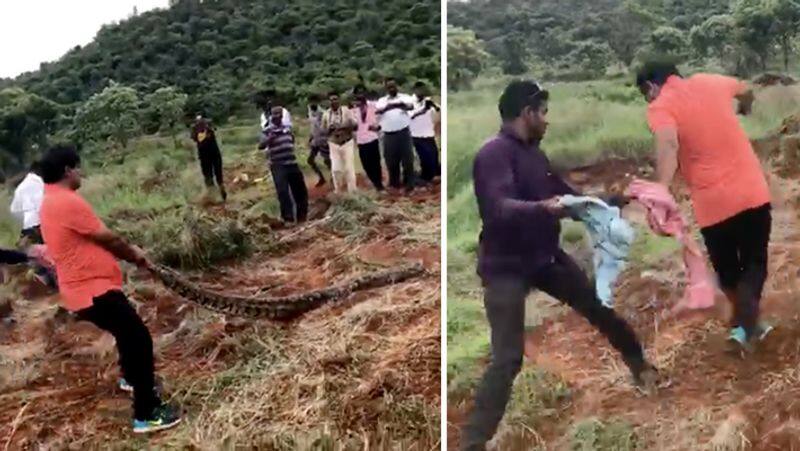 12 feet long python Snake Entered into farmers land Video ..