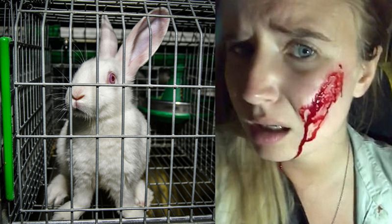 vegan activist shot by farmer for releasing 14 of their rabbits