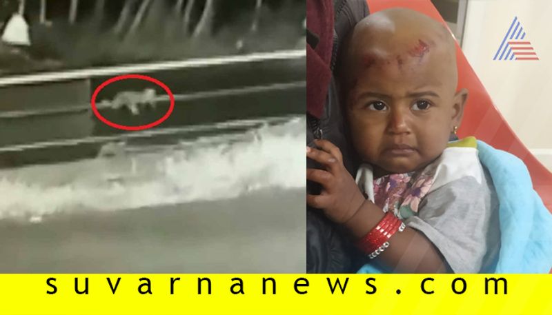 Miraculous escape for toddler after falling off a vehicle on forest highway in Kerala