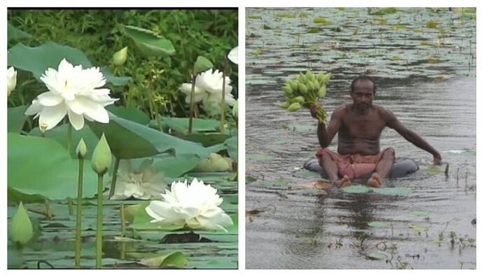 রমাপদর বারো হাজার পদ্মে পূজিত হবেন বিদেশের দুর্গারা