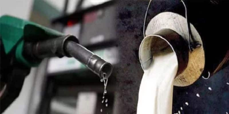 Milk at Rs 140/litre, costlier than petrol in Pakistan