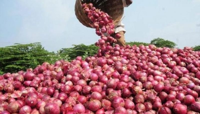 onion worth 8 lakhs stolen