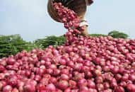 Onion' ready make to cry three states government before assembly elections in