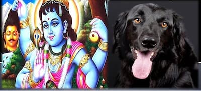 भैरव का प्रतीक कुत्ता भी है शिव का गण, जानिए कैसे मिला उसे यह स्थान