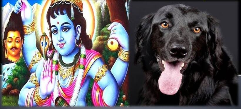 भैरव का प्रतीक कुत्ता भी है शिव का गण, जानिए कैसे मिला उसे यह स्थान