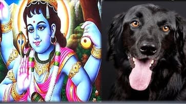 Know how Lord Shiva changed the law of enlightenment for a small dog and included it in his ganas