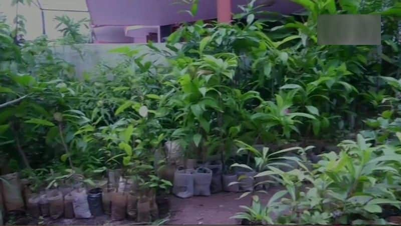 Horticulture Plants  are available in Reasonable rate in Shivamogga district