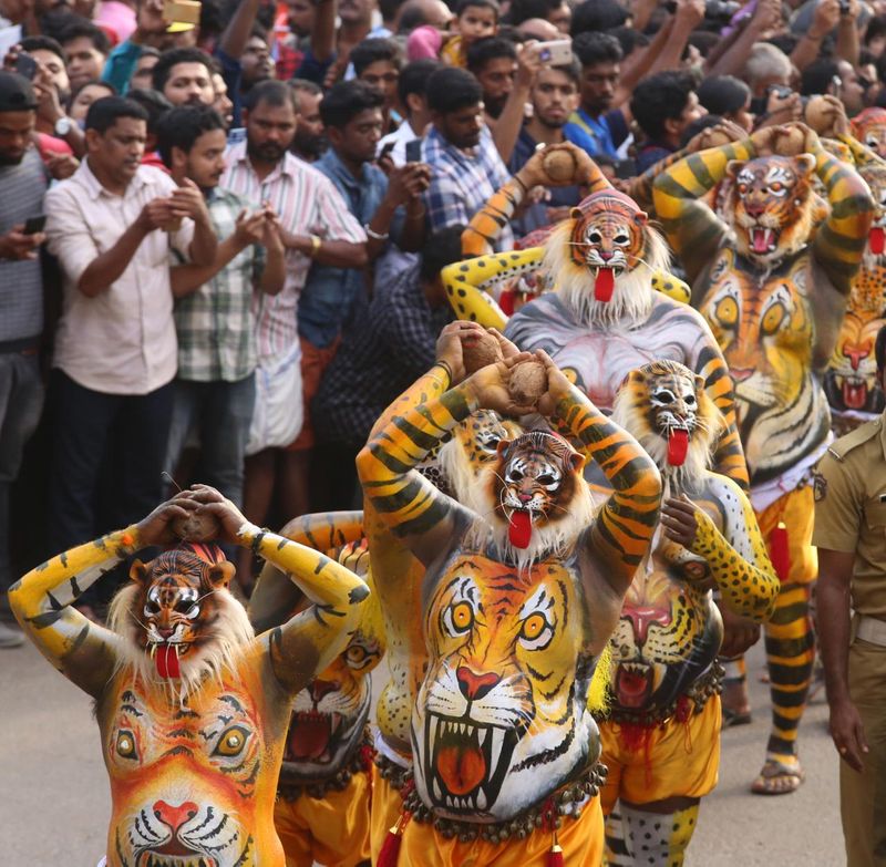 Kerala: Thrissur set for Pulikali today september 18 2024; Traffic restrictions to be imposed in city anr