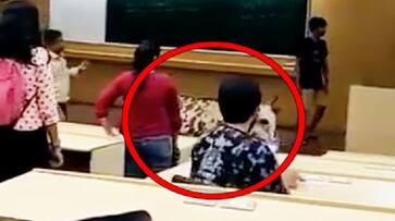 Cows preparing for JEE? Video of Cow gatecrashing IIT-B hostel goes viral