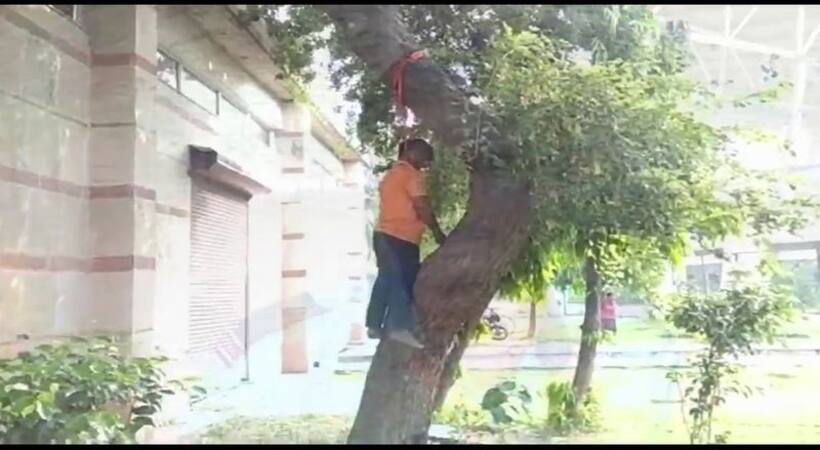 नोएडा स्टेडियम में युवक ने लगाई फांसी, सुसाइड नोट में बताई वजह