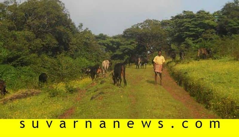 Dangerous forest in between Karwar Ankola yellapur disturbs villagers lifestyle