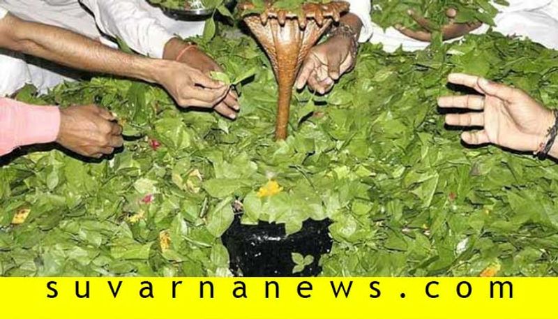 Significance of Bel patra Bilwa leaf in Shiva Puja