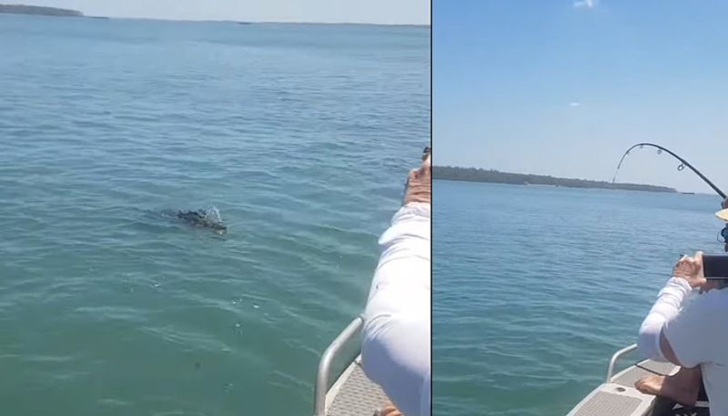 fisherman hooked monster crocodile