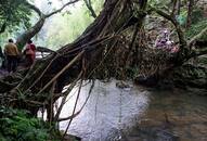 Plastic ban: What we need to learn from Asia's cleanest village Mawlynnong in Meghalaya on cleanliness