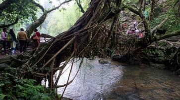 Plastic ban: What we need to learn from Asia's cleanest village Mawlynnong in Meghalaya on cleanliness