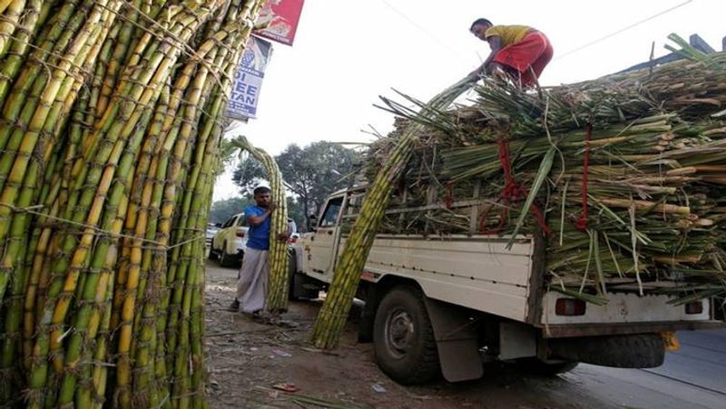 Indi Taluka Administration Decided to Auction Sugar From Factrory