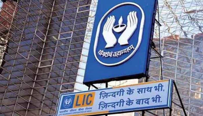 lic loss due to public sector stock purchase