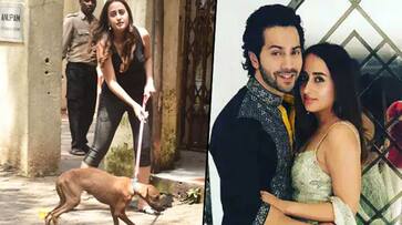 Varun Dhawan's lover Natasha Dalal trolled for her dog's skeletal condition