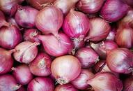 Centre prohibits export of all varieties of onions with immediate effect