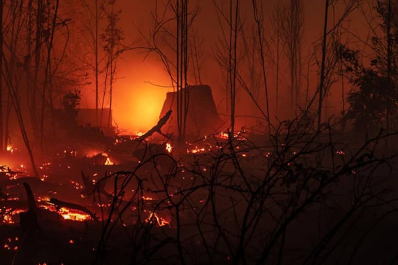 Andhra Pradesh: Fire breaks out in  Wood market