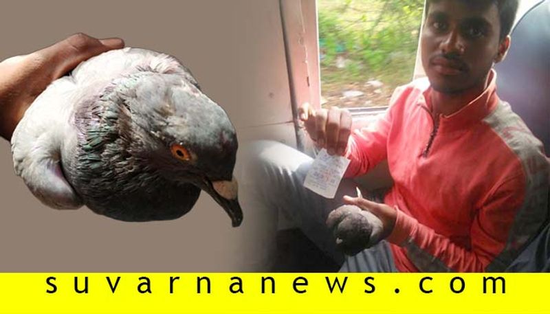 Bellary Bus Conductor Gives 5 Rs Ticket To A Pigeon