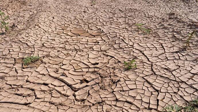 बोकारो सहित झारखंड के दस जिले सुखाग्रस्त घोषित हुए, मिलेगी 12 लाख किसानों को राहत