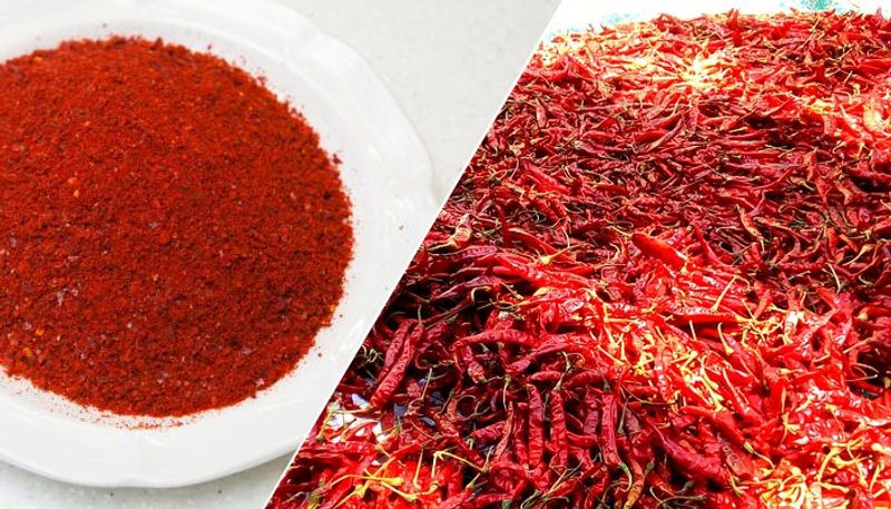 10 thousand quintal Red Chilli Enters To APMC in one day