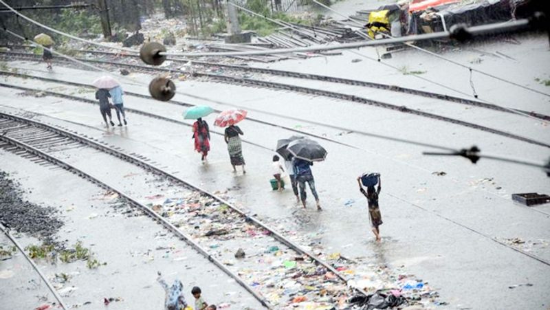 Heavy Rain in Raichur District: Damage to Onion