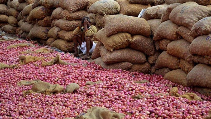 Farmers Faced Problems for Onion Price Decline