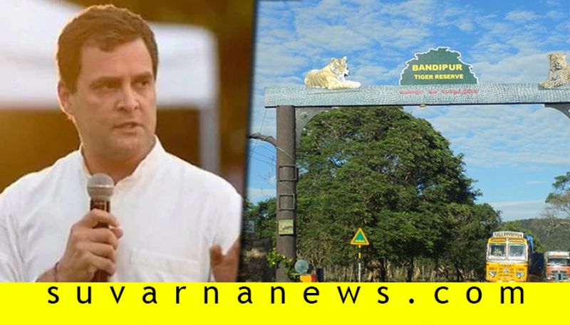 Bandipur reserve forest row Rahul to visit Wayanad to join youth protesting highway ban