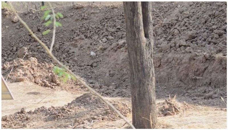 hidden leopard picture goes viral on twitter