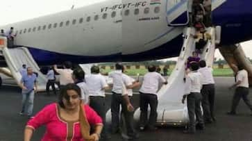 IndiGo plane carrying Goa power minister on board catches fire mid-air