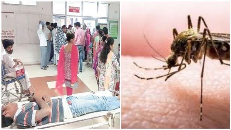 dengue fever affects children