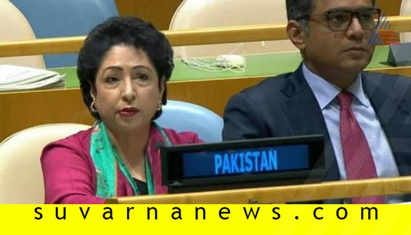 Pakistan removes Maleeha Lodhi appoints Munir Akram as UN envoy