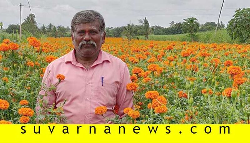 Belagavi farmer earns profit by growing marigold flower