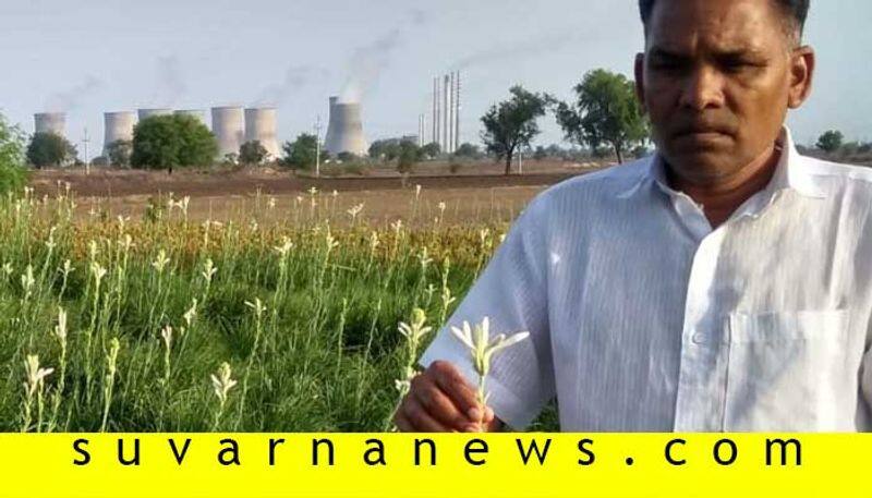 Raichur Farmer Lawyer grows Sugandharaja flower in drought land