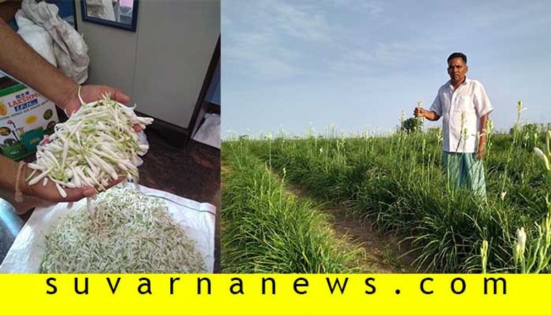 Raichur Farmer Lawyer grows Sugandharaja flower in drought land