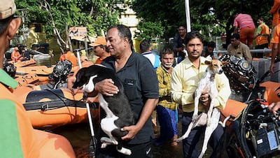 सिर्फ गली-मोहल्ले नहीं, कइयों के सपने भी डूब गए...PHOTOS में देखें बिहार के हालात