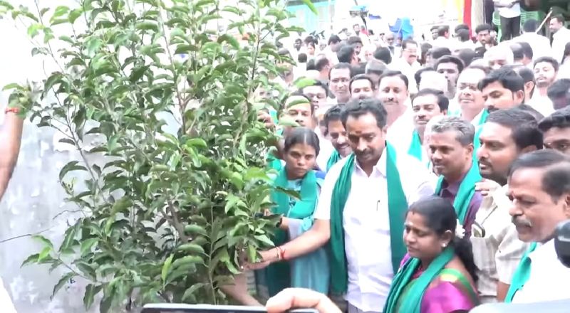 minister vijaya baskar participated in planting trees in karur