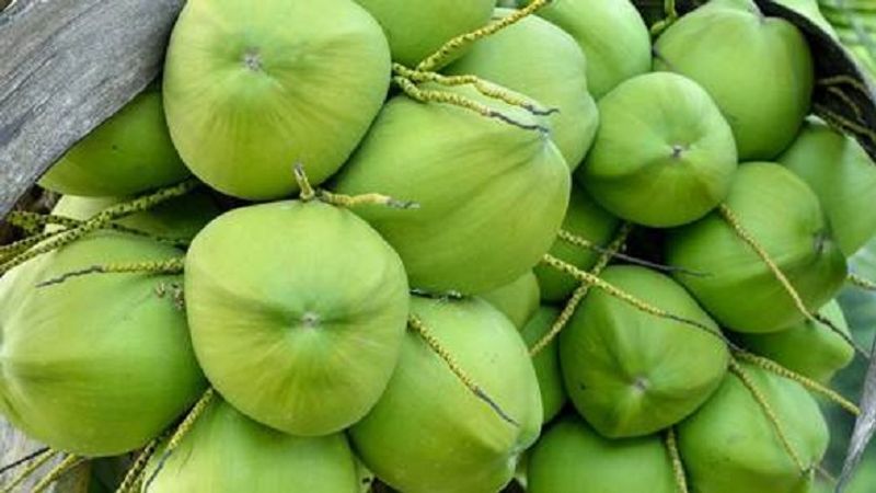 Man steals  tender coconut in mangalore