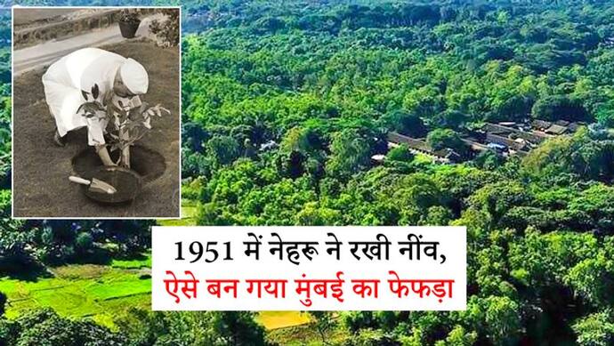 आरे: आजादी के बाद नेहरू ने रखी थी नींव, 3166 एकड़ क्षेत्र में फैला है; जानें इससे जुड़ीं 5 खास बातें