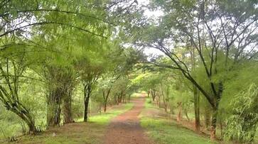 Aarey Colony supreme court put stay on cutting of trees next hearing on 21st October