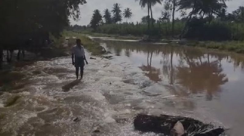 road houses submerged as Heavy rain lashes in mandya