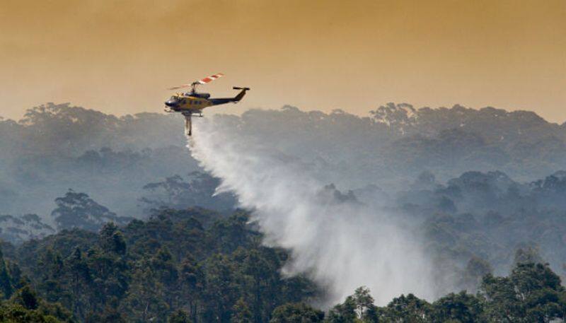 american model collect 5 crore money by her nude photo - for Australia forest fire rescue work