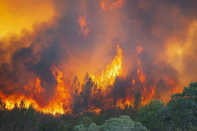 american state california forest fire one lakh people evacuate from house