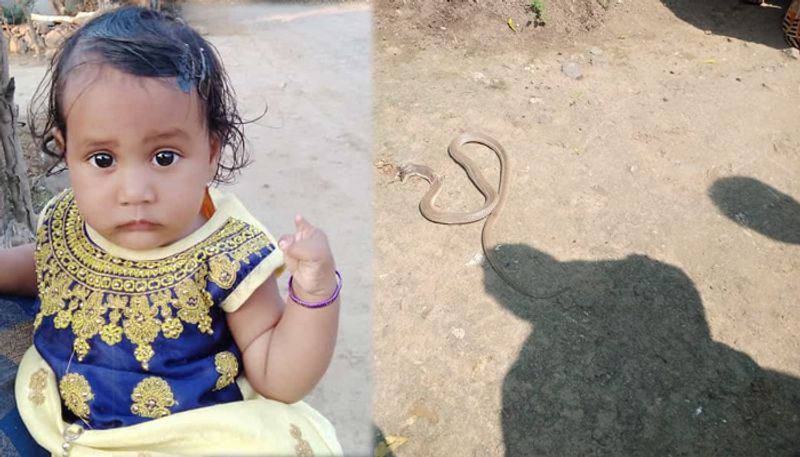 child killed by snake bite in jagtial