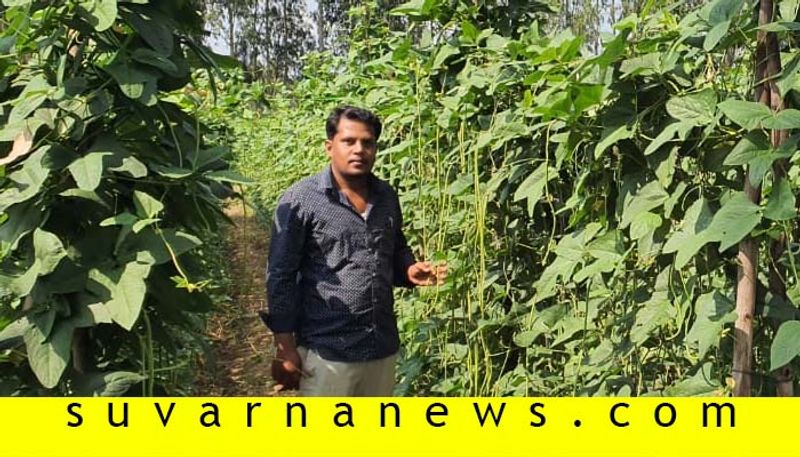 Success Story Of Degree Holder Mandya Youth in Agriculture