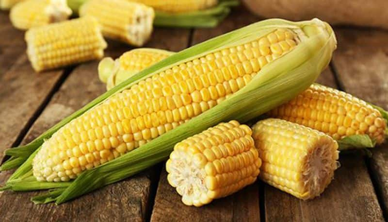 Corn nutrition: Interesting ways to add corn to your diet to reap all the healthy benefits-dnm