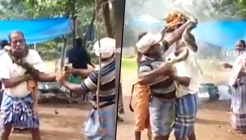 Python Coils Itself Around Kerala Man's Neck In Horrifying Video